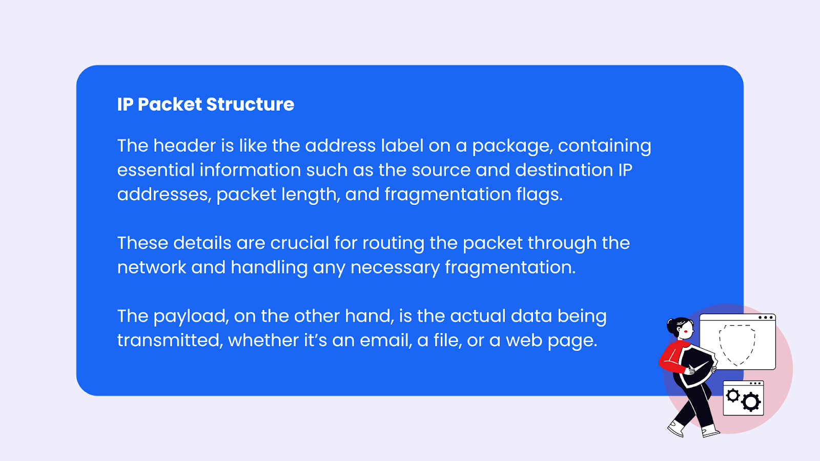 ip packet structure